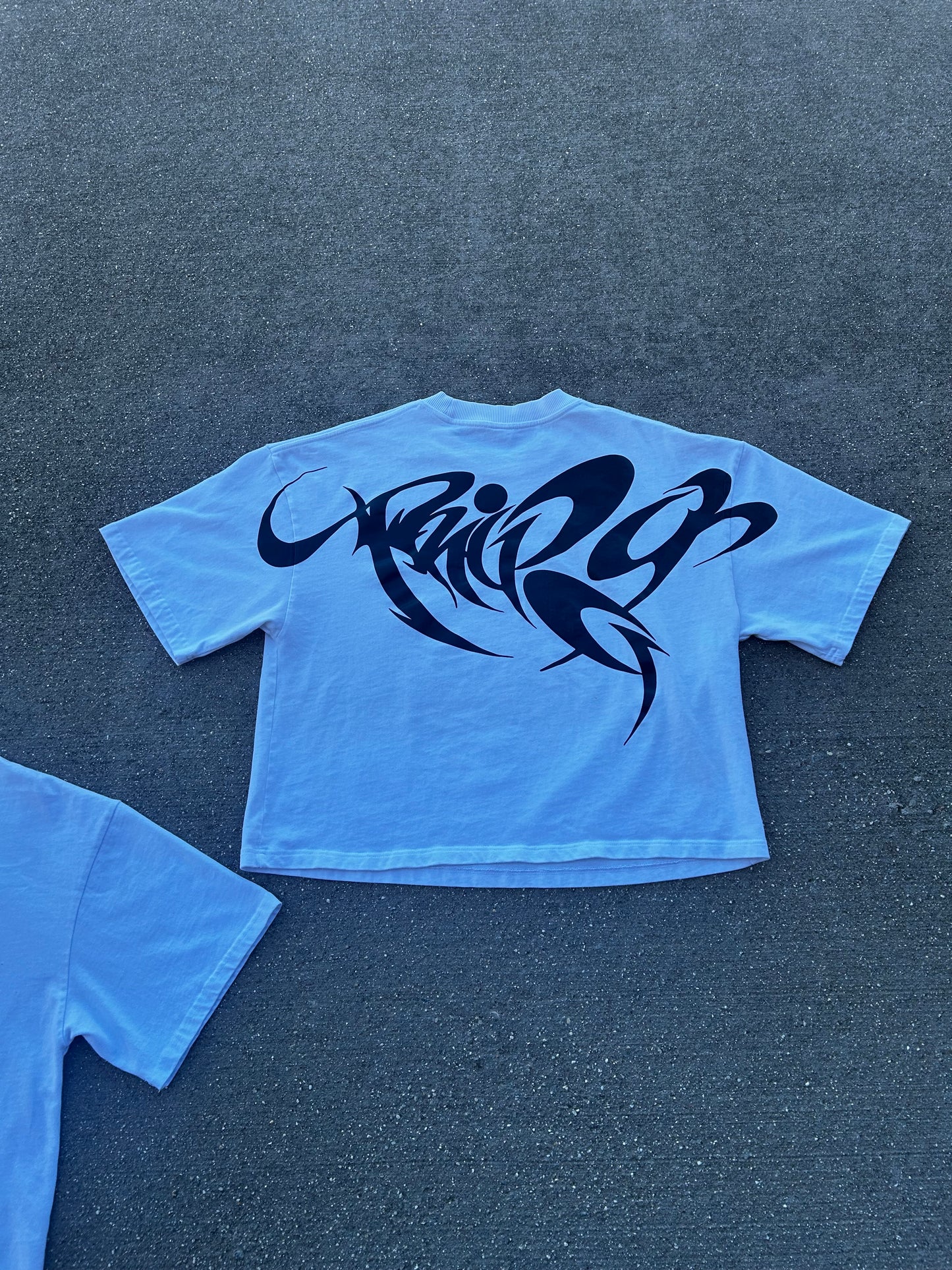Valkyrie Oversized Cropped Tee